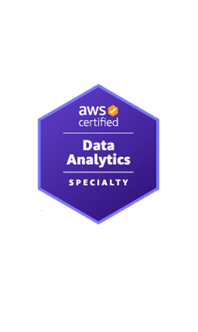 aws_data_analytics_specialist